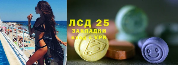 крисы Алексин