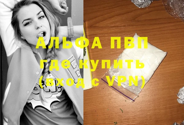 крисы Алексин