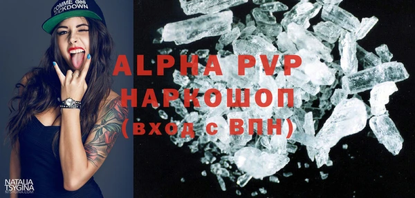 крисы Алексин