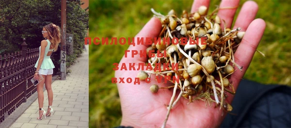 синтетический гашиш Абинск
