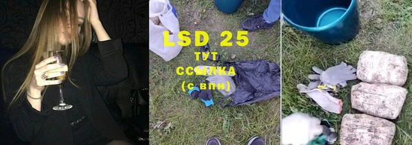 крисы Алексин