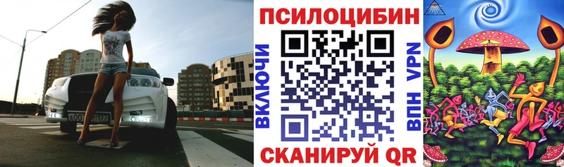 что такое наркотик Змеиногорск Псилоцибиновые грибы Magic Shrooms