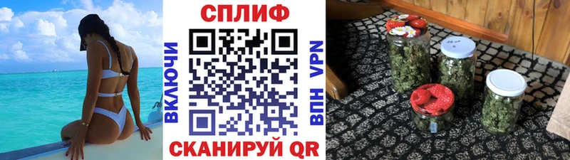 mega ТОР продажа наркотиков Змеиногорск Каннабис марихуана